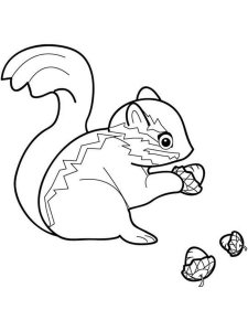 Chipmunk coloring page - picture 13