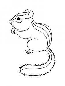 Chipmunk coloring page - picture 4