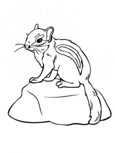 Chipmunk coloring page - picture 5