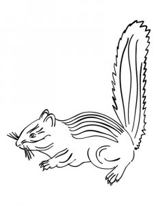 Chipmunk coloring page - picture 8