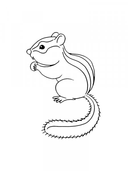 Chipmunk coloring pages