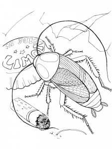 Cockroach coloring page - picture 13