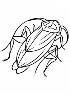 Cockroach coloring page - picture 16