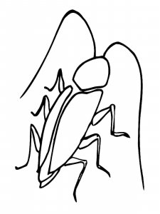 Cockroach coloring page - picture 18