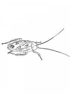 Cockroach coloring page - picture 19