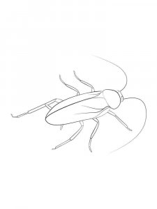 Cockroach coloring page - picture 23