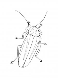 Cockroach coloring page - picture 24