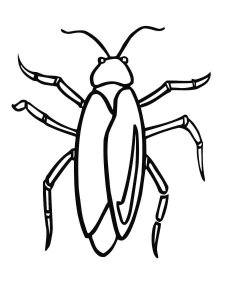 Cockroach coloring page - picture 26