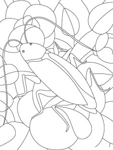 Cockroach coloring page - picture 3