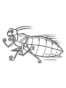 Cockroach coloring page - picture 32
