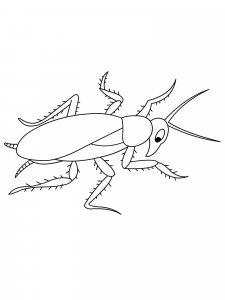 Cockroach coloring page - picture 4