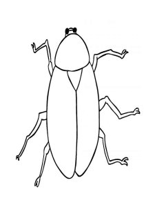 Cockroach coloring page - picture 5
