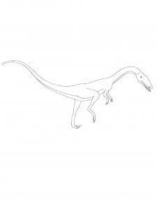 Coelophysis Dinosaur Coloring Page