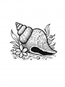 Conch on the Ocean Floor Coloring Page