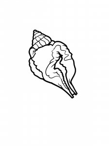 Spiral Conch Coloring Page