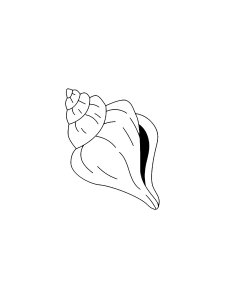 Graceful Conch Coloring Page