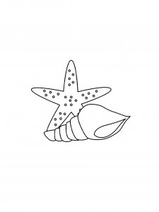 Conch and Starfish Coloring Page