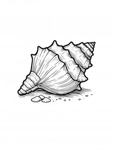 Common Conch Coloring Page