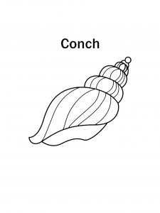 Conch for Kids Coloring Page