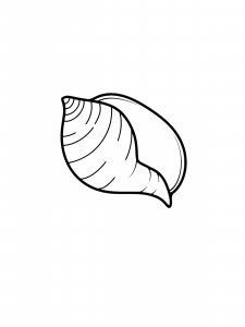 Simple Conch Coloring Page
