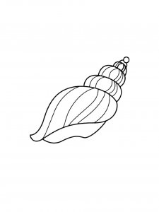 Elegant Sea Conch Coloring Page