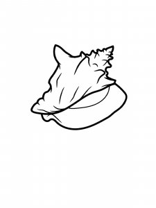 Large Conch Coloring Page