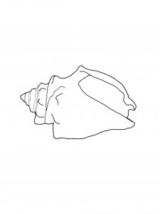 Conch Mollusk Coloring Page
