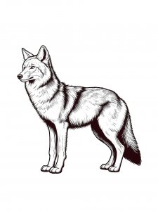 Trickster Coyote Coloring Page