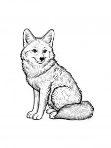 Posing Coyote Coloring Page
