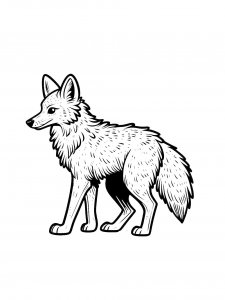 Frozen Coyote Coloring Page