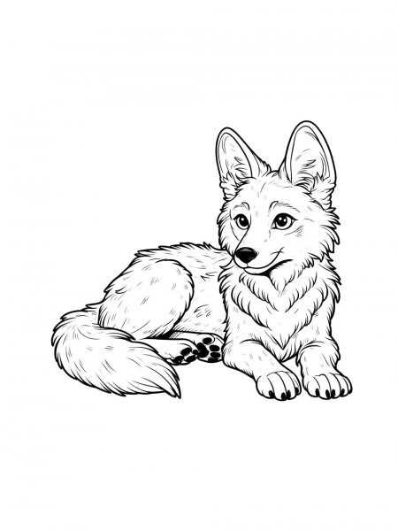 Coyote coloring pages