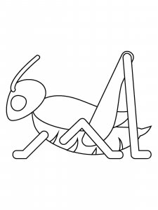 Cricket Insect coloring page - picture 3