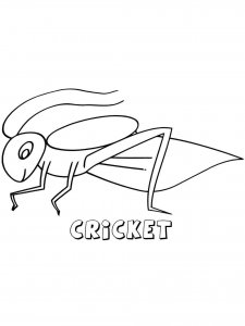Cricket Insect coloring page - picture 6