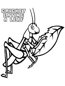 Cricket Insect coloring page - picture 7