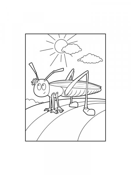 Cricket Insect coloring pages