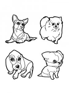 Cute Animal coloring page - picture 28