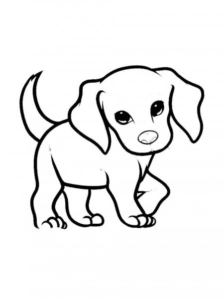 Cute Animal coloring pages