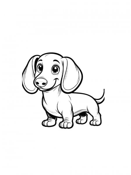 Dachshund coloring pages