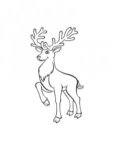 Deer coloring page - picture 20