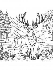 Deer coloring page - picture 27