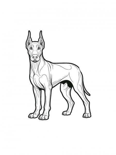 Doberman coloring pages