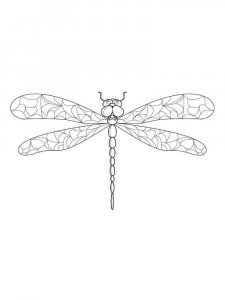 Dragonfly coloring page - picture 1