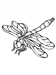 Dragonfly coloring page - picture 10