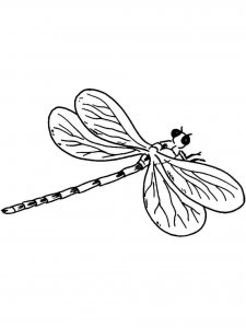 Dragonfly coloring page - picture 13