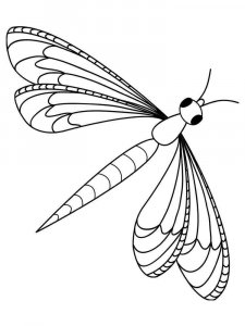 Dragonfly coloring page - picture 15