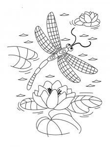Dragonfly coloring page - picture 16