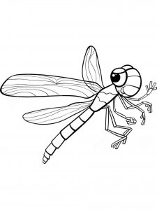 Dragonfly coloring page - picture 17