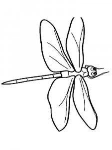 Dragonfly coloring page - picture 21