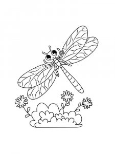 Dragonfly coloring page - picture 22