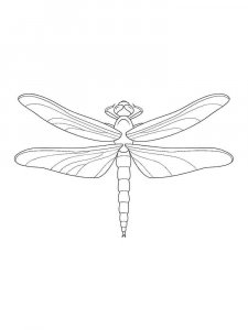 Dragonfly coloring page - picture 25